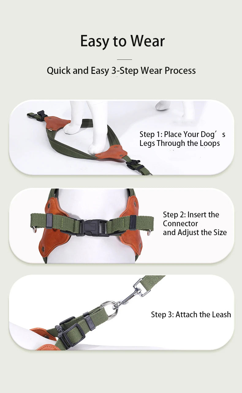 The City Harness