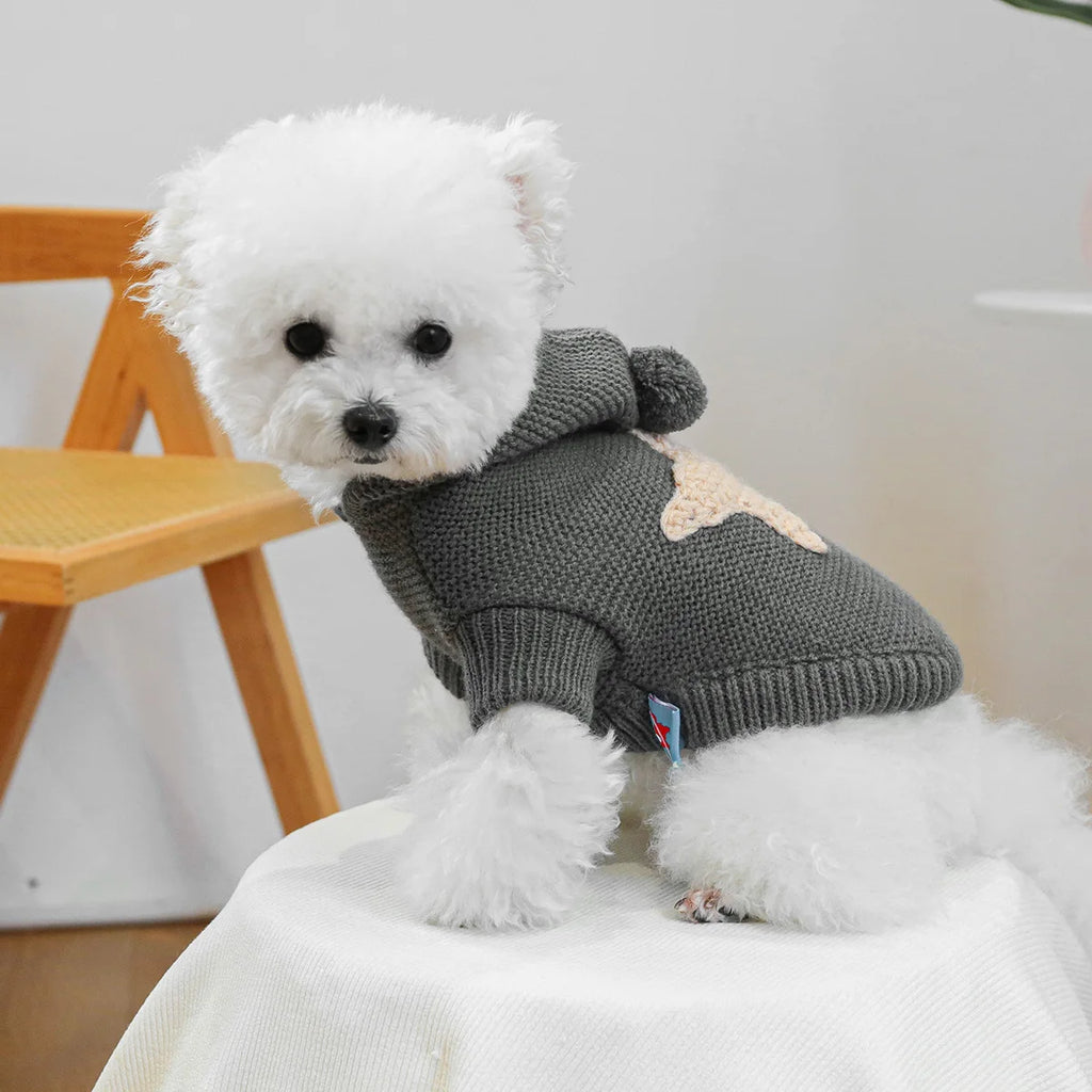 The Knit Sweater