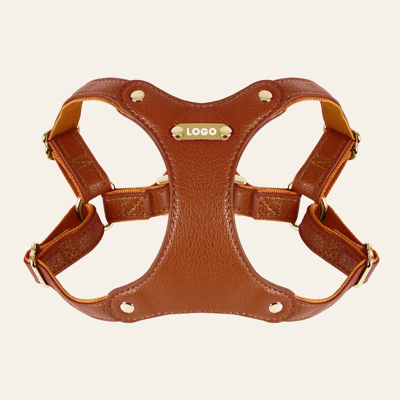The Leather Walk Set