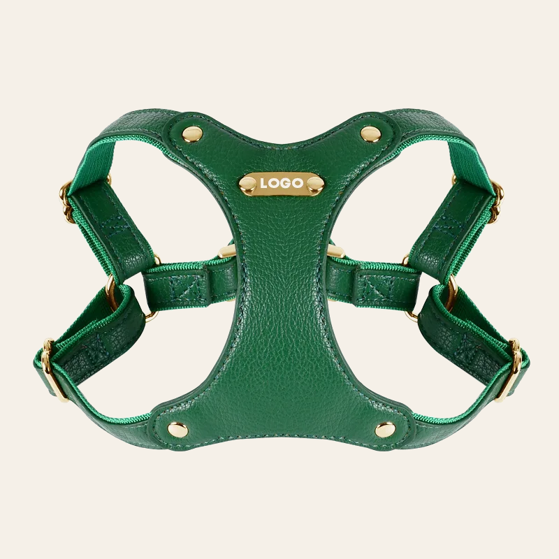 The Leather Walk Set