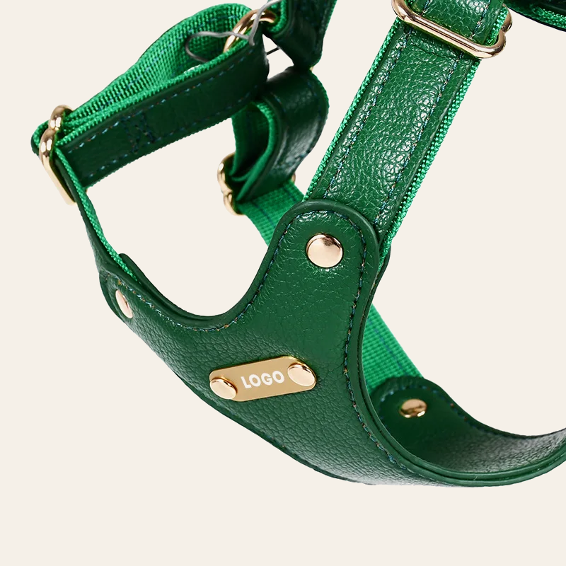 The Leather Walk Set