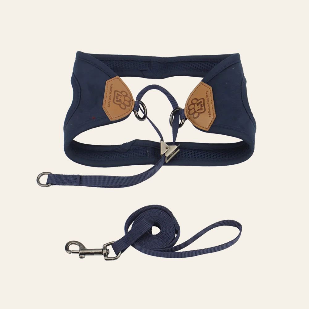 The Vest Harness