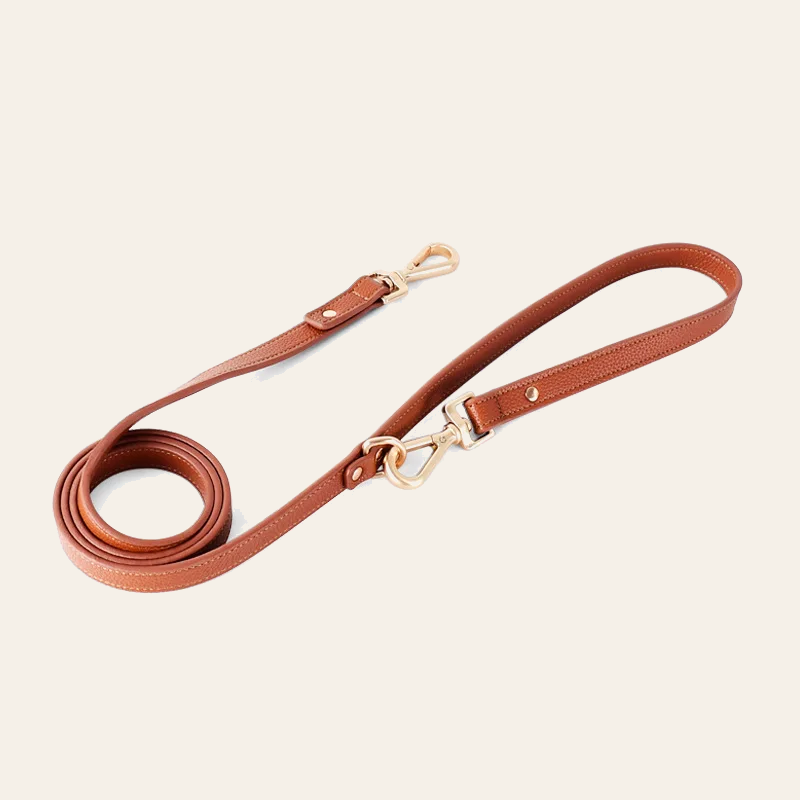The Leather Walk Set